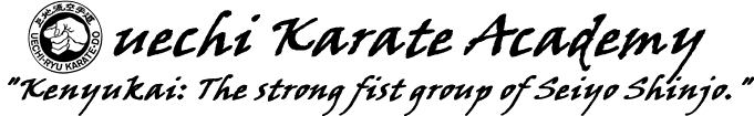 Uechi Karate Academy Logo